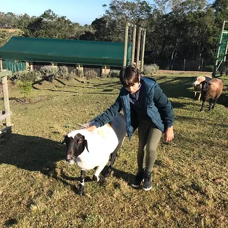 Trees&Seas - Glamping With Farm Animals Hotel Wilderness Exterior photo