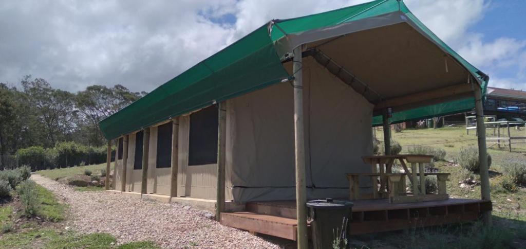 Luxury tent Trees&seas - Glamping With Farm Animals Wilderness