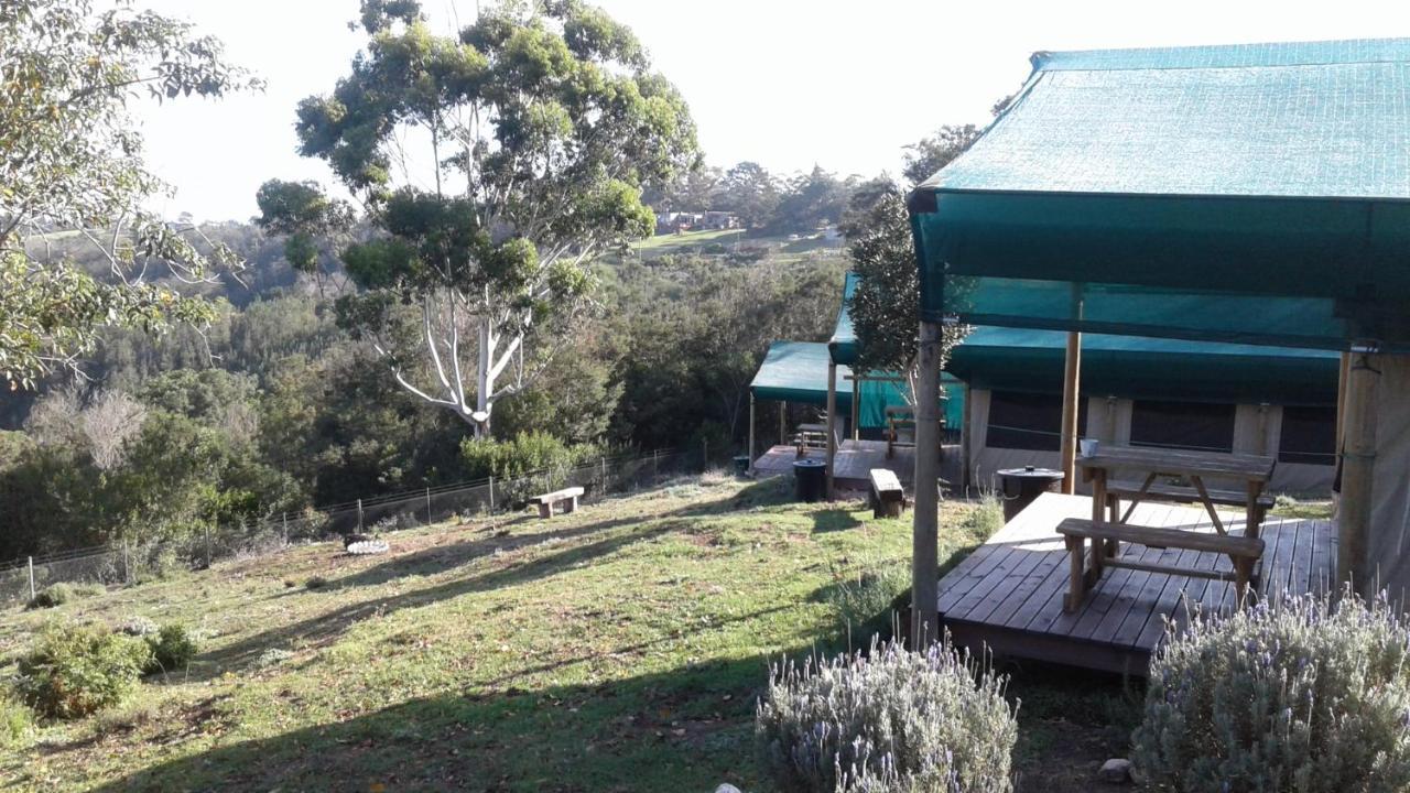 Trees&seas - Glamping With Farm Animals Luxuszelt *