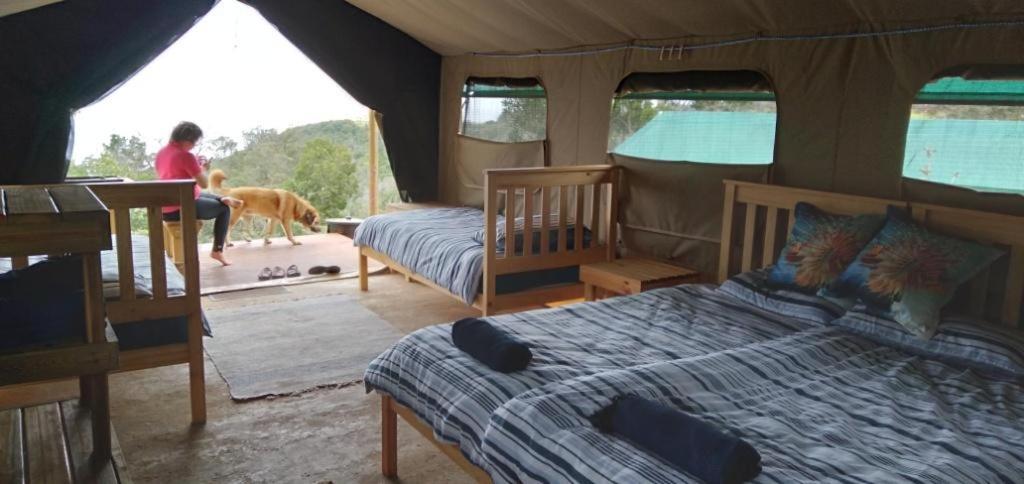 Luxury tent Trees&seas - Glamping With Farm Animals Wilderness