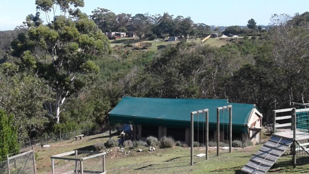 Trees&seas - Glamping With Farm Animals Wilderness