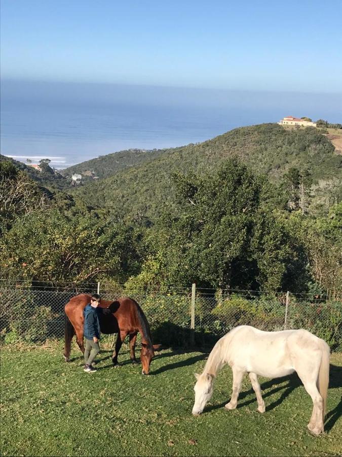 Trees&seas - Glamping With Farm Animals Wilderness